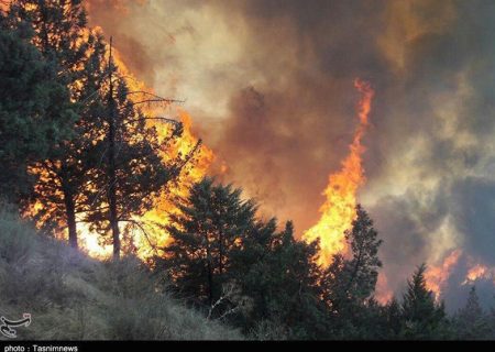 آتش سوزی اراضی جنگلی آستارا در پی سهل انگاری افراد محلی